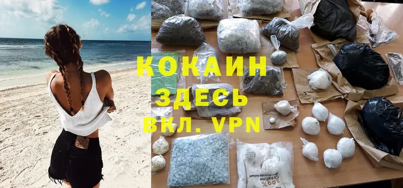 COCAIN Fish Scale  Северская 